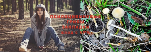2c-b Липки