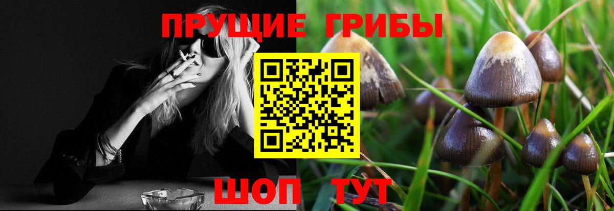 Южно-Сахалинск  Псилоцибиновые грибы MAGIC MUSHROOMS  Вход с VPN 